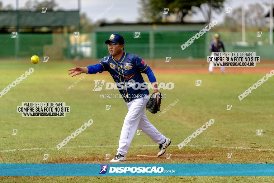 XXXII Brasileirão de Softbol