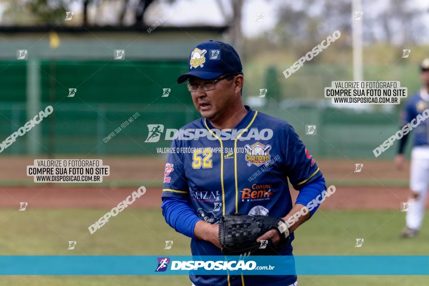 XXXII Brasileirão de Softbol