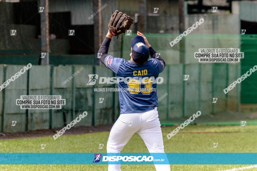 XXXII Brasileirão de Softbol