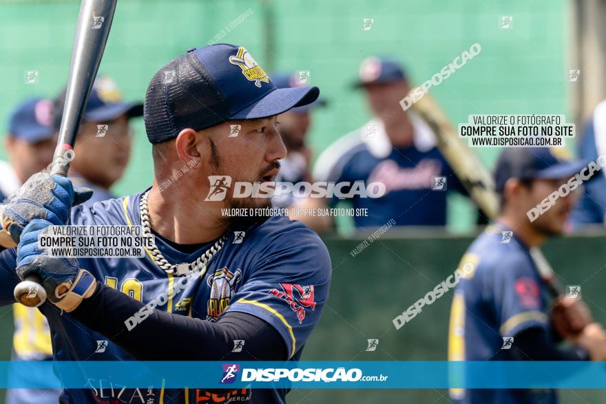 XXXII Brasileirão de Softbol