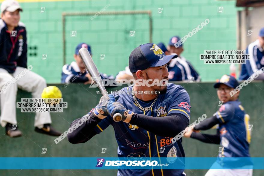 XXXII Brasileirão de Softbol