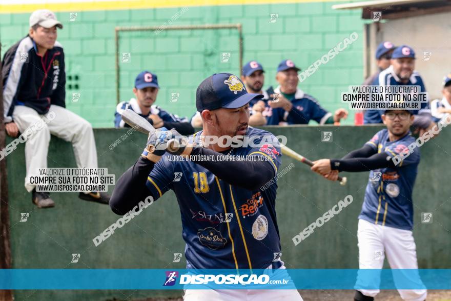 XXXII Brasileirão de Softbol