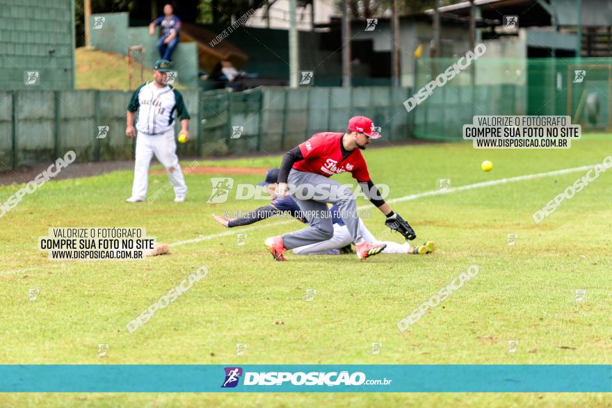 XXXII Brasileirão de Softbol