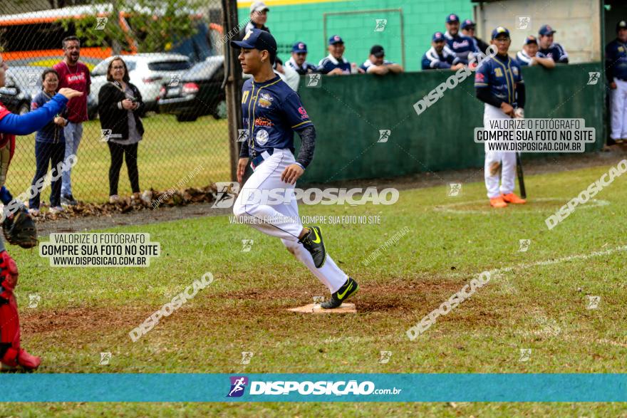 XXXII Brasileirão de Softbol