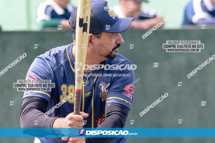 XXXII Brasileirão de Softbol