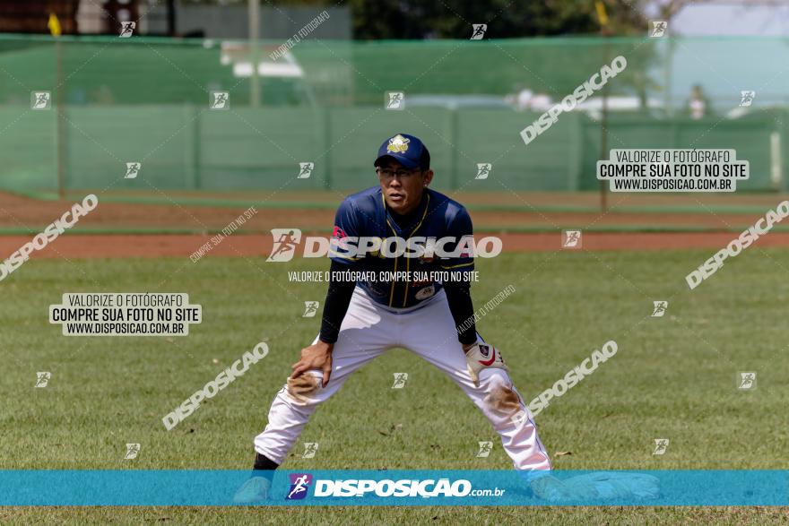 XXXII Brasileirão de Softbol