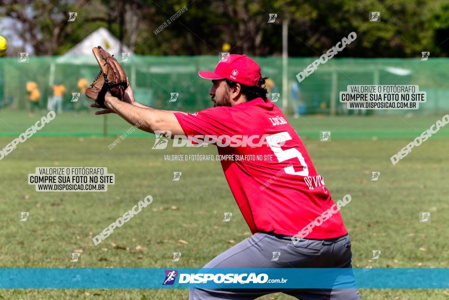 XXXII Brasileirão de Softbol