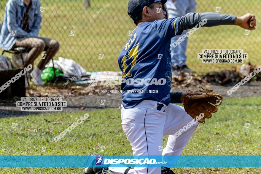 XXXII Brasileirão de Softbol