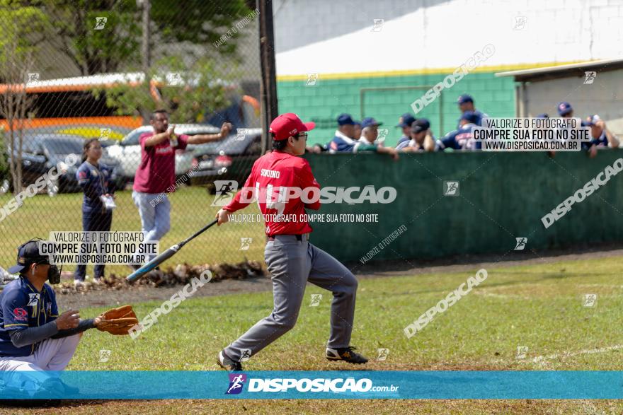 XXXII Brasileirão de Softbol