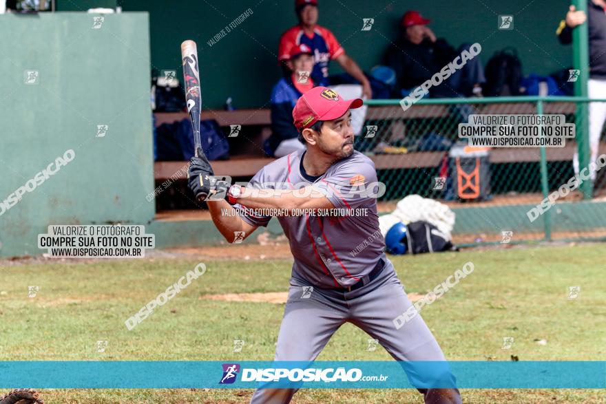 XXXII Brasileirão de Softbol