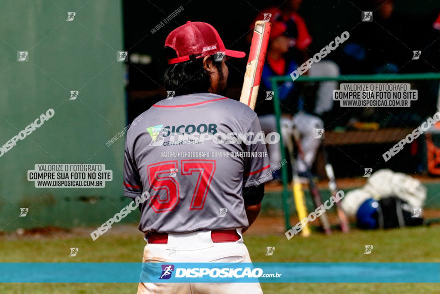 XXXII Brasileirão de Softbol