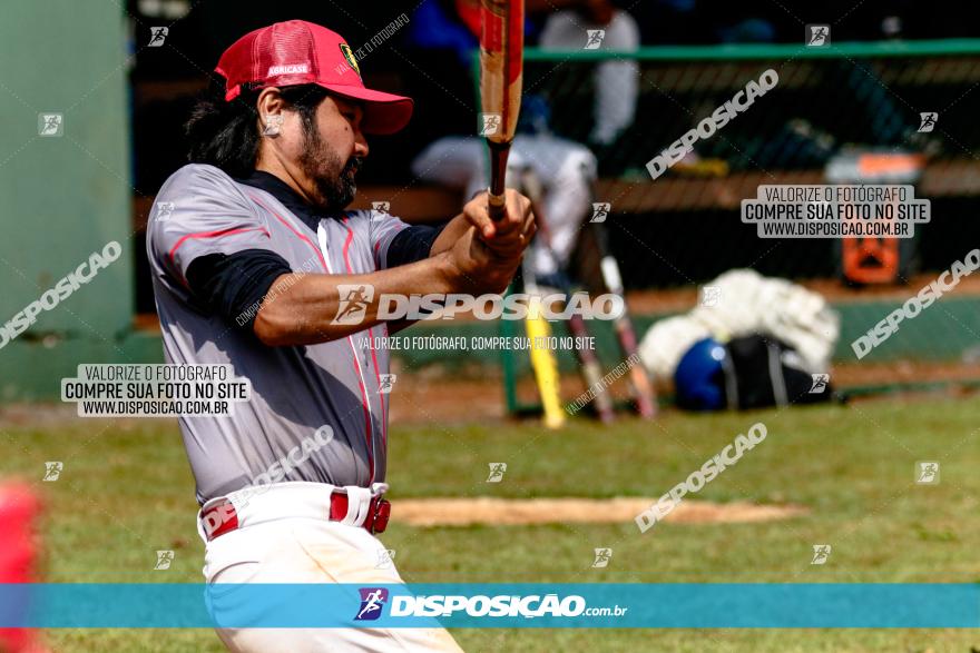 XXXII Brasileirão de Softbol