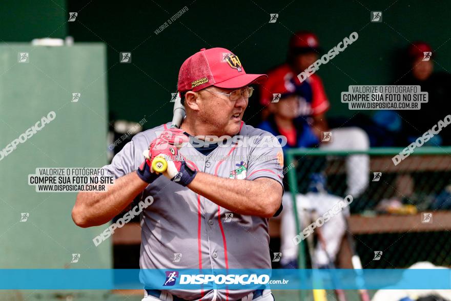 XXXII Brasileirão de Softbol