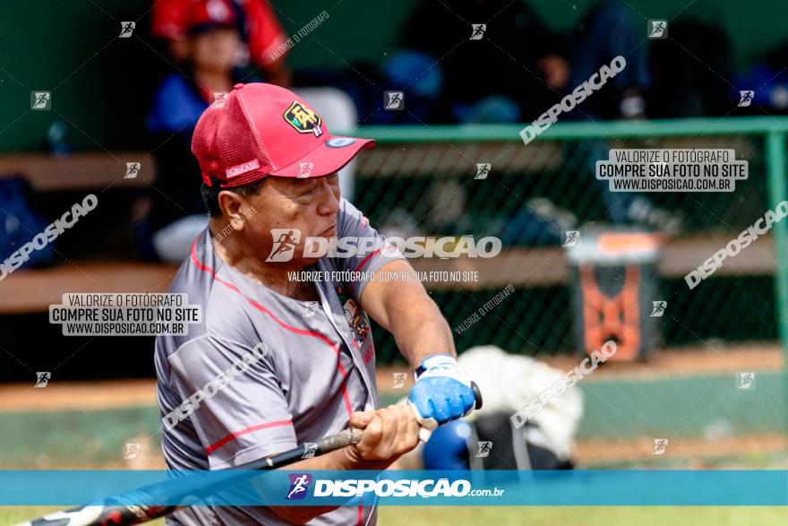 XXXII Brasileirão de Softbol