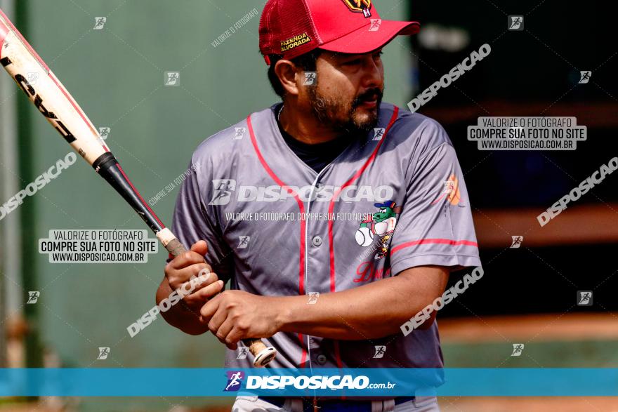 XXXII Brasileirão de Softbol