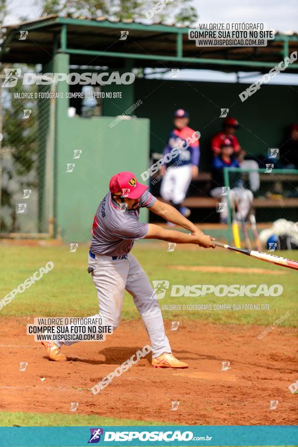 XXXII Brasileirão de Softbol