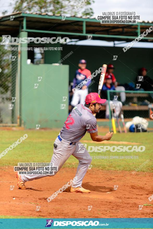 XXXII Brasileirão de Softbol