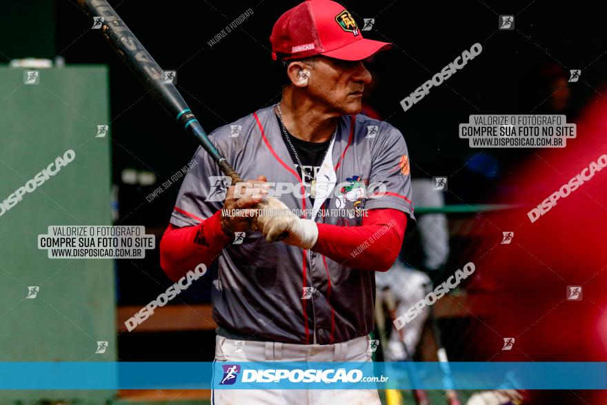 XXXII Brasileirão de Softbol