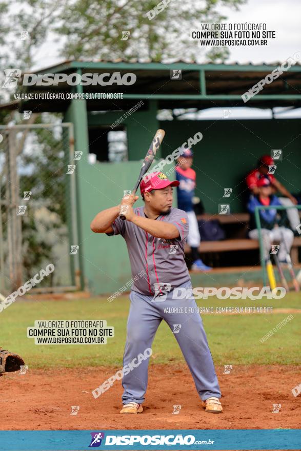 XXXII Brasileirão de Softbol