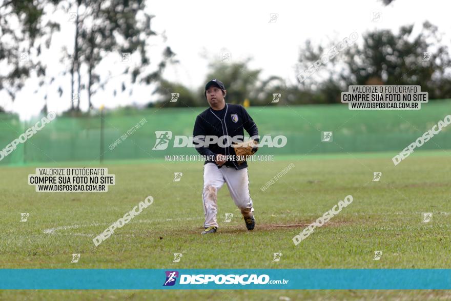 XXXII Brasileirão de Softbol