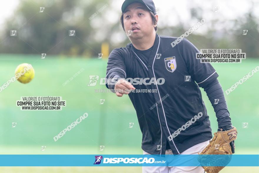 XXXII Brasileirão de Softbol