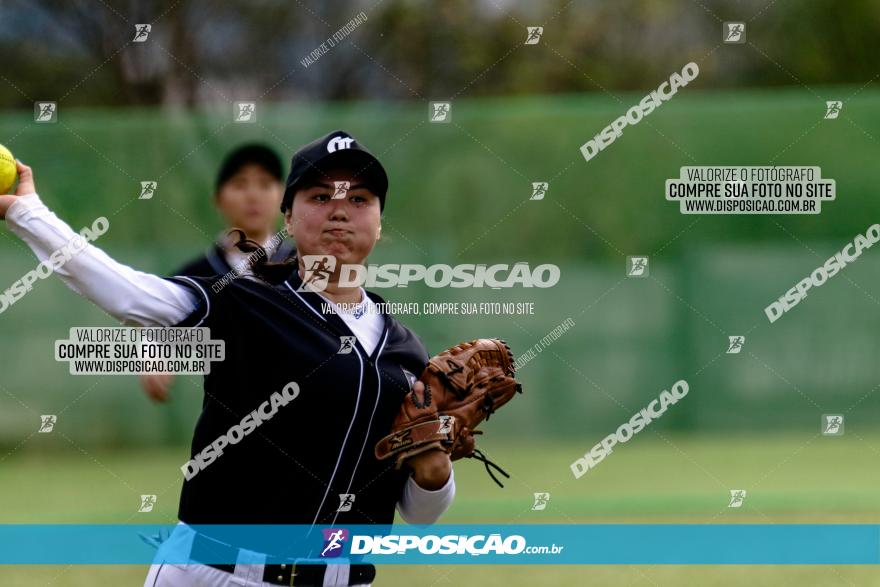 XXXII Brasileirão de Softbol