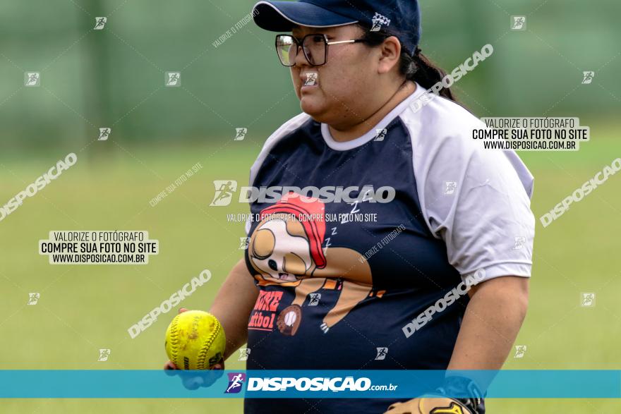 XXXII Brasileirão de Softbol