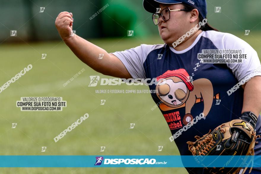 XXXII Brasileirão de Softbol