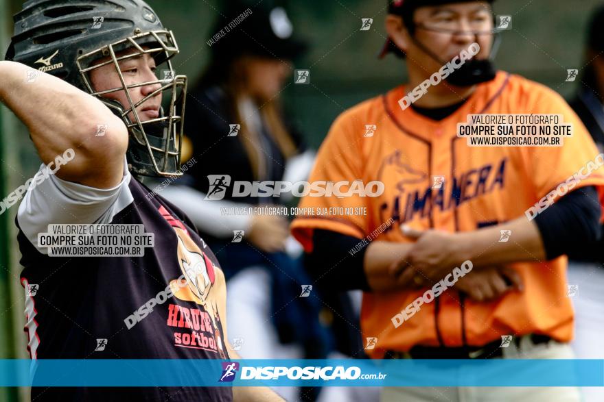 XXXII Brasileirão de Softbol