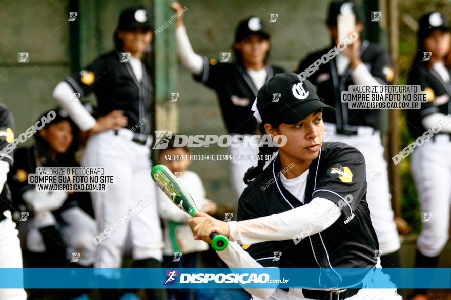 XXXII Brasileirão de Softbol