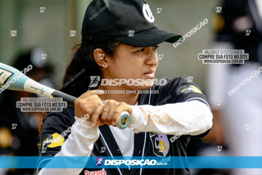 XXXII Brasileirão de Softbol