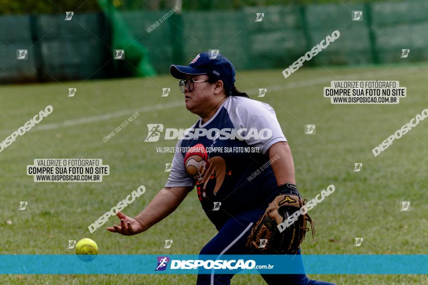 XXXII Brasileirão de Softbol