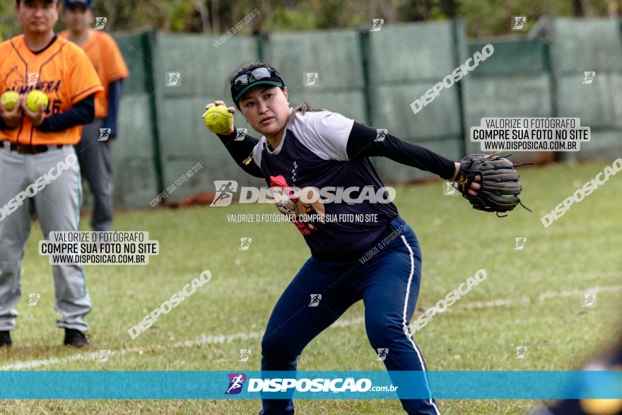 XXXII Brasileirão de Softbol