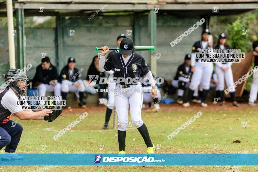 XXXII Brasileirão de Softbol