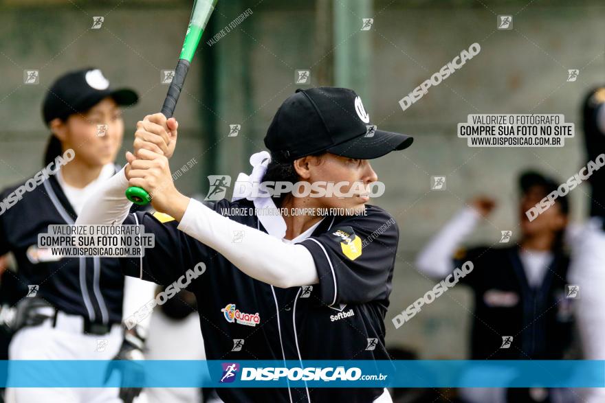 XXXII Brasileirão de Softbol