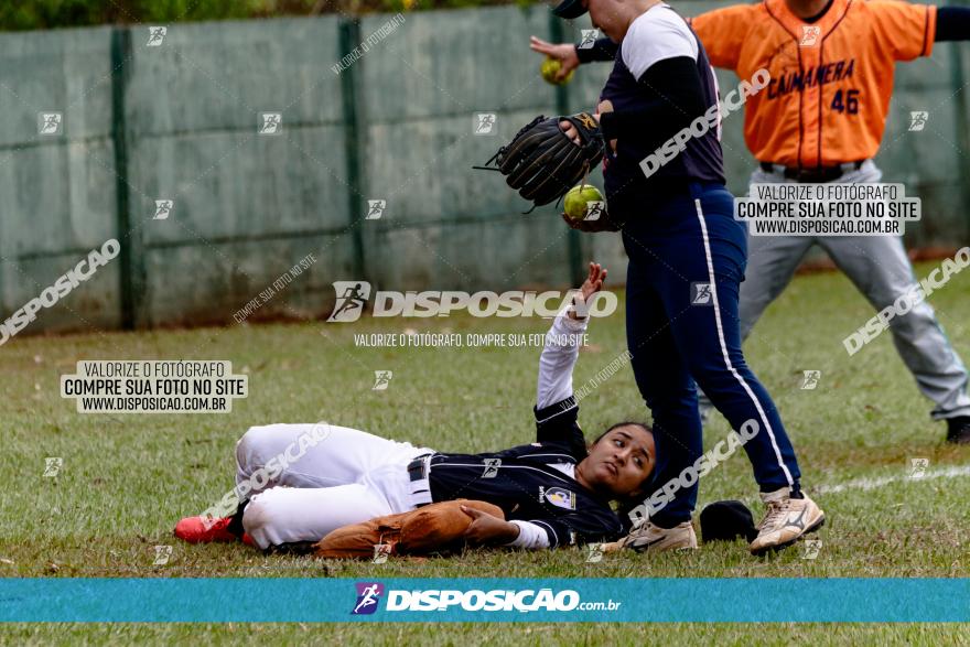 XXXII Brasileirão de Softbol