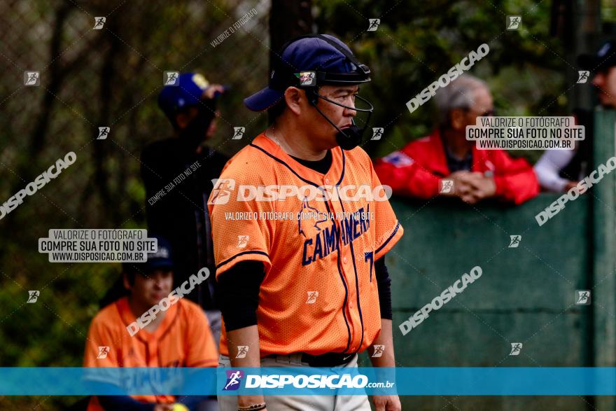 XXXII Brasileirão de Softbol