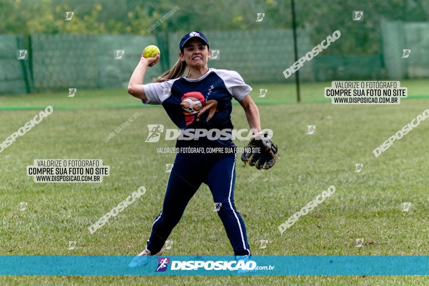 XXXII Brasileirão de Softbol