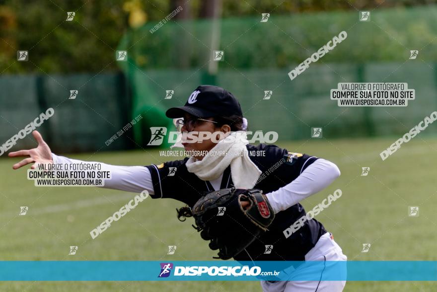 XXXII Brasileirão de Softbol