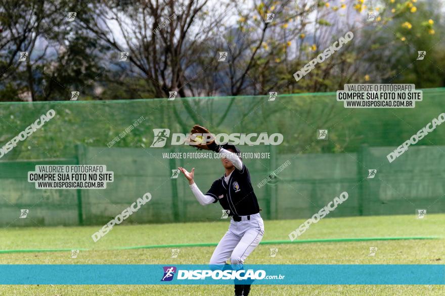 XXXII Brasileirão de Softbol