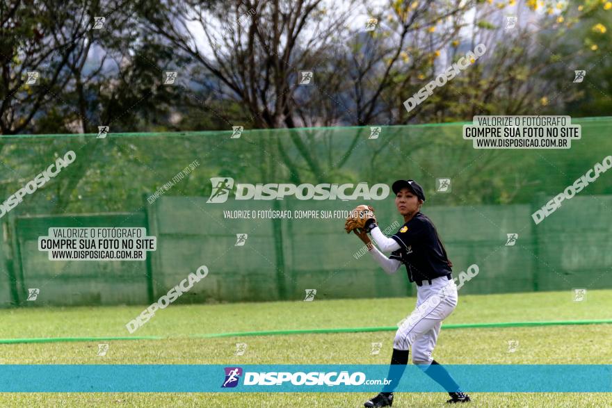 XXXII Brasileirão de Softbol