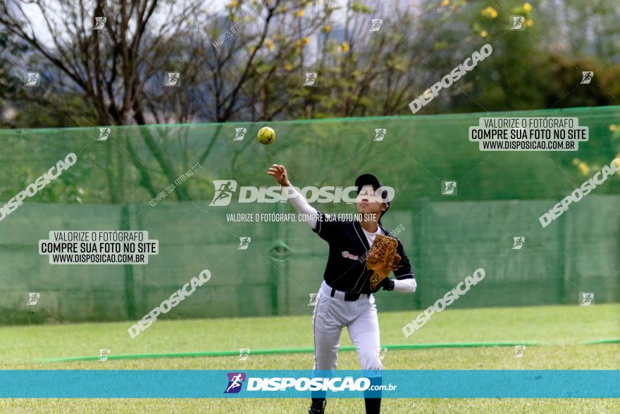 XXXII Brasileirão de Softbol