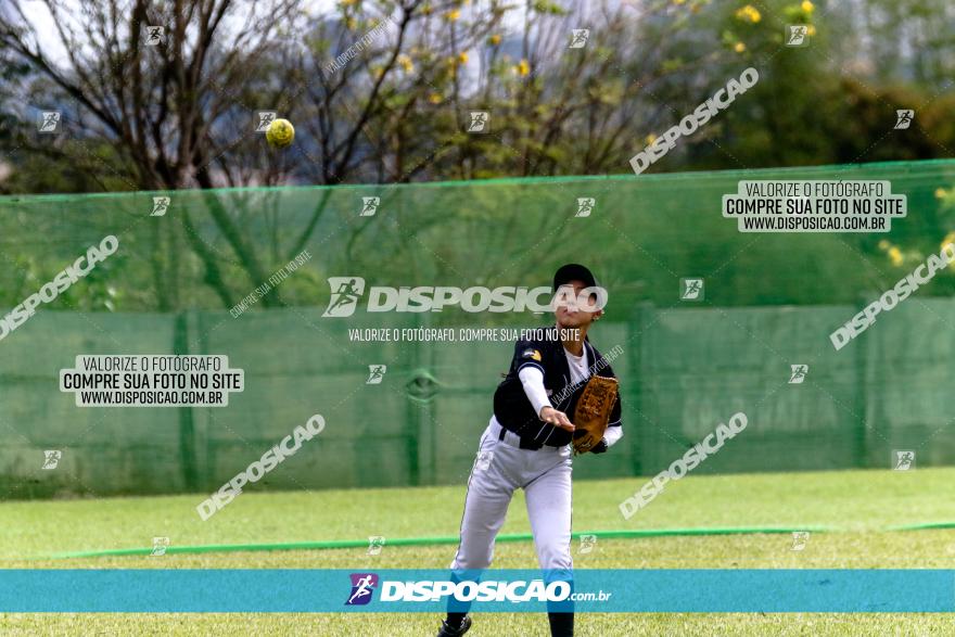 XXXII Brasileirão de Softbol