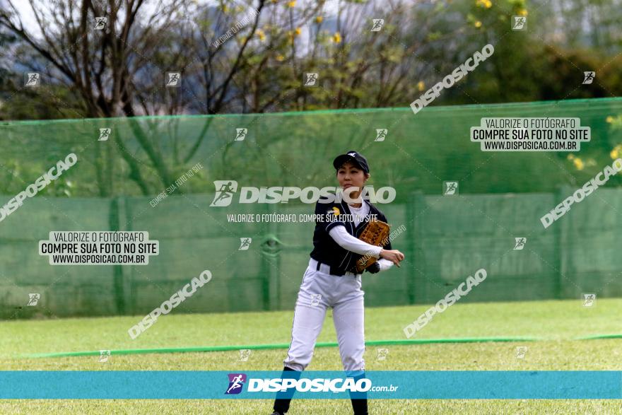 XXXII Brasileirão de Softbol