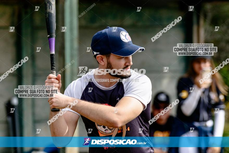 XXXII Brasileirão de Softbol