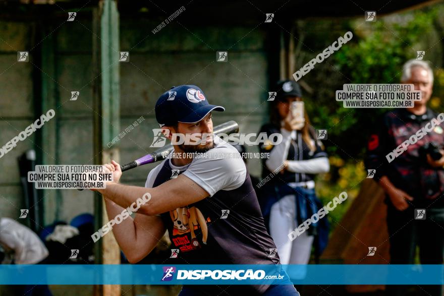 XXXII Brasileirão de Softbol