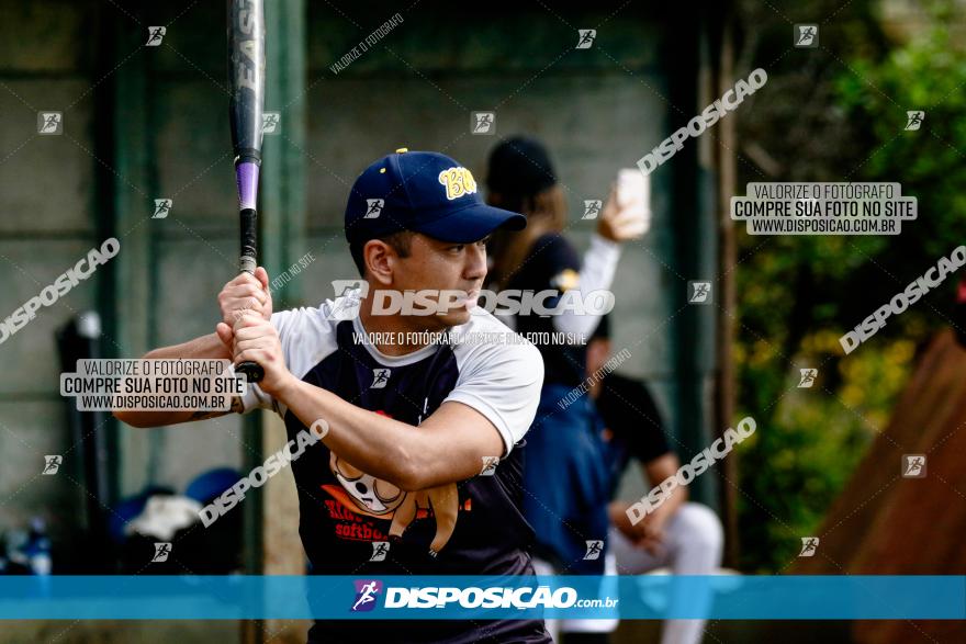 XXXII Brasileirão de Softbol