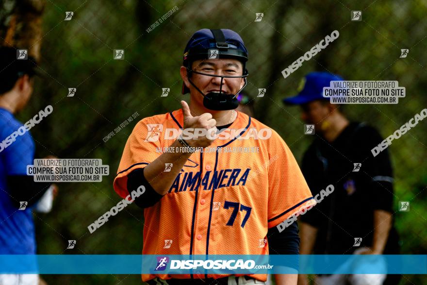 XXXII Brasileirão de Softbol