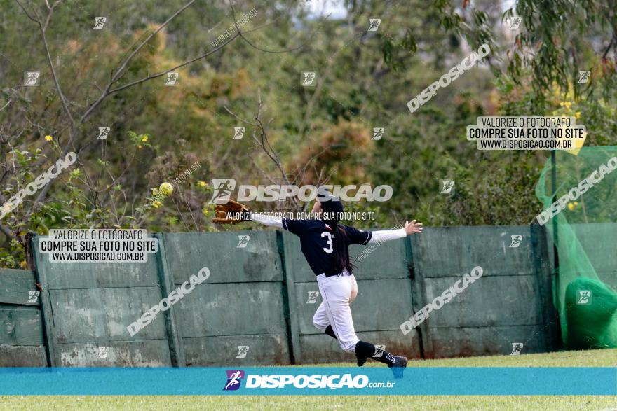 XXXII Brasileirão de Softbol