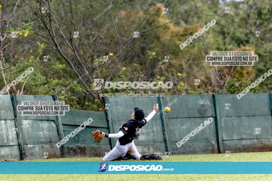 XXXII Brasileirão de Softbol